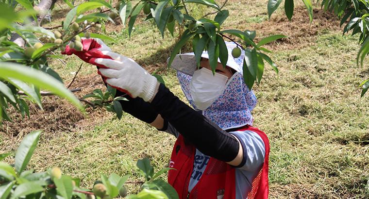 봉사활동 중인 학생의 모습
